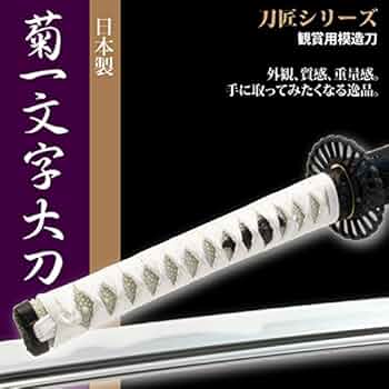 51-acGoKGzL._AC_UF350,