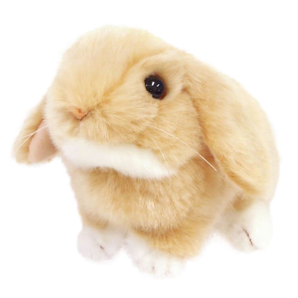 Amazon.co.jp: 吉徳 りくのなかまたち ロップイヤーウサギ ぬいぐるみ
