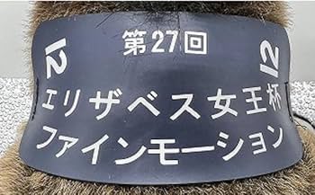 Amazon.co.jp: ファインモーション エリザベス女王杯 競馬 ぬいぐるみ