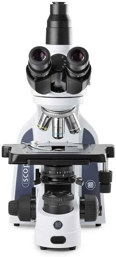 Amazon | iScope 三眼複合顕微鏡 接眼レンズ付き PLIプラン4/10/S40