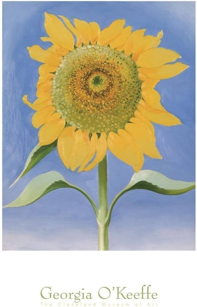 Amazon.co.jp: ジョージア・オキーフ作 サンフラワー、ニューメキシコ