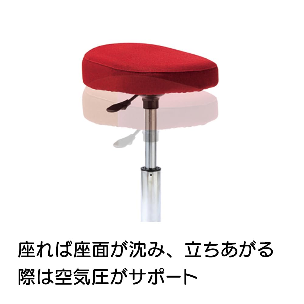 Amazon.co.jp: ディノス 健康 健康雑貨 MIZUNO/ミズノ スクワット