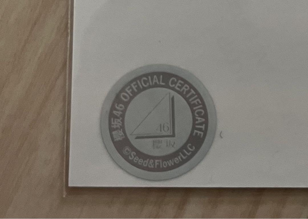 Amazon.co.jp: 櫻坂46 守屋麗奈 直筆サイン入り生写真 2nd tour2022