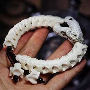 Amazon | [TRANST] 蛇骨 ブレスレット フリーサイズ ファッション