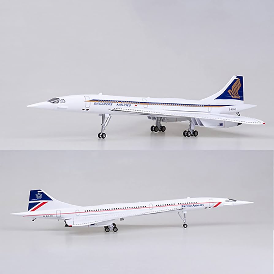 512ErENK-QL._AC_UF894,