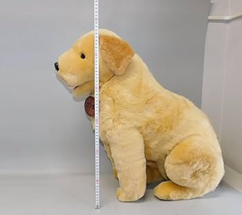 Amazon.co.jp: 当選品 ゴン太 ゴールデンレトリバー 特大 ぬいぐるみ