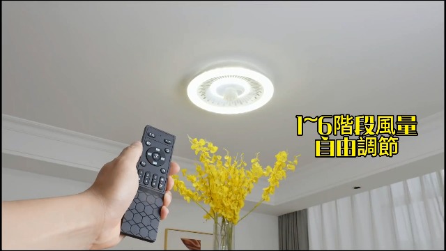 Amazon.co.jp : シーリングファンライト ZXhome 50cm 扇風機 一台二役