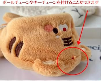 513I-uxW5bL._AC_UF350,