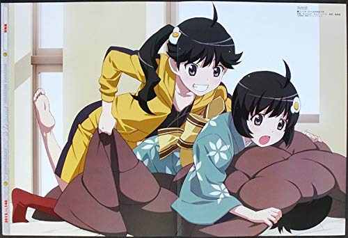 Amazon.co.jp: 化物語 ピンナップポスター 阿良々木 火憐 阿良々木月火