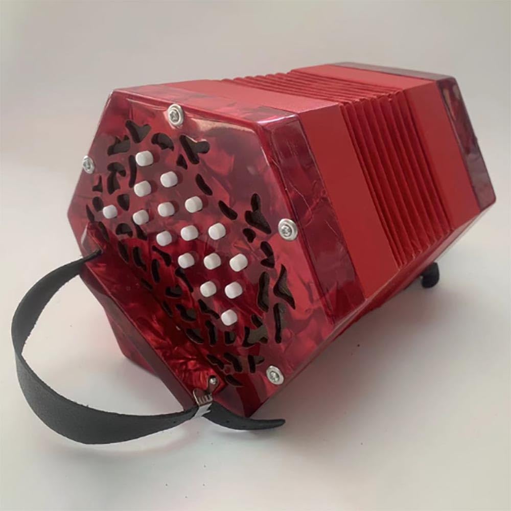 Amazon | 20キー 六角形アコーディオン 大人用 プロフェッショナル