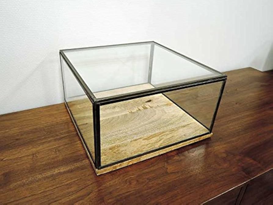 Amazon.co.jp: ガラスコレクション ディスプレイケース L ショーケース