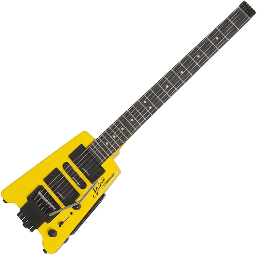 Amazon | Steinberger/Spirit Collection GT-PRO Deluxe Hot Rod