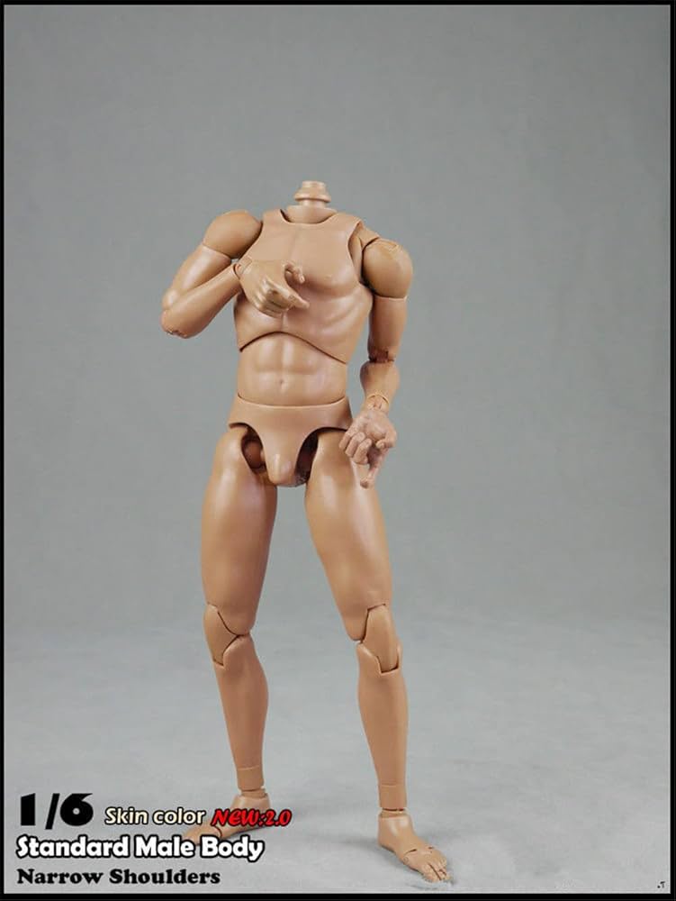 Amazon.com: Generic 1/6 Scale Narrow Shoulder Male Action Figure