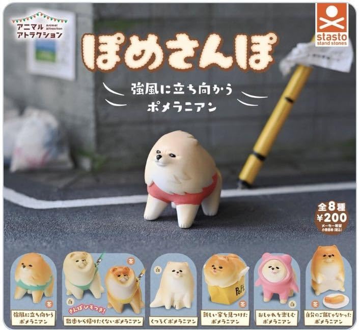 Amazon | ぽめさんぽ ガチャガチャ 強風に立ち向かうポメラニアン白