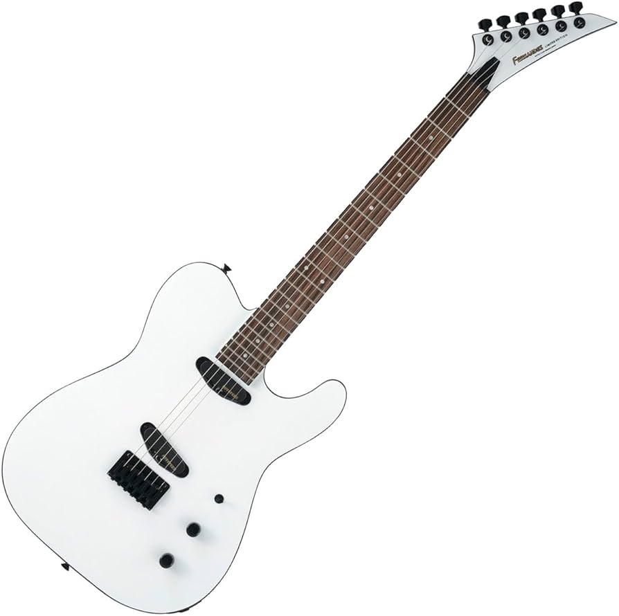 Amazon | FERNANDES TEJ-STD 2S SW エレキギター初心者14点セット