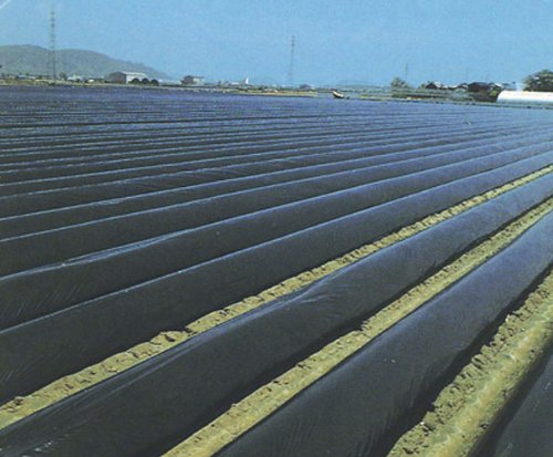 Amazon.co.jp: 黒マルチ 厚さ0.03mmX幅135cmX長さ100m : DIY・工具