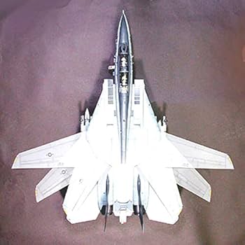 TAMIYA F-14A Tomcat Black Knights 1/32 Aircraft (TAM60313