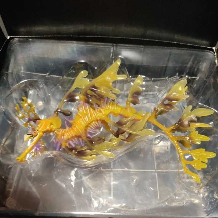 Amazon.co.jp: プレミアム限定 いきもの大図鑑プレミアム リーフィー