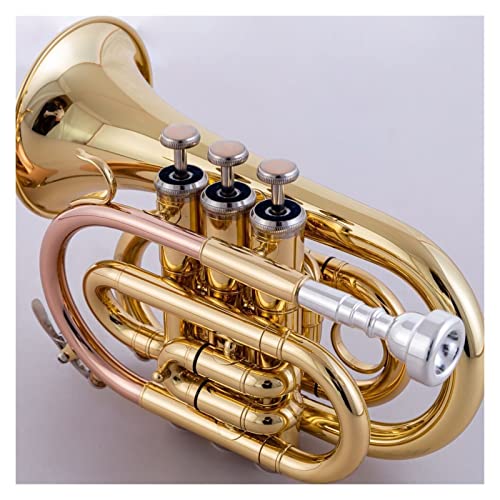 ポケット トランペット」の人気商品一覧 | 安い商品を通販サイトから