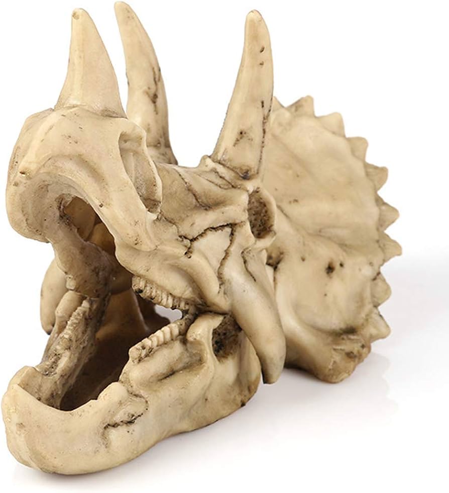Amazon.co.jp: 恐竜トリケラトプスの頭蓋骨レプリカ樹脂工芸品恐竜の歯