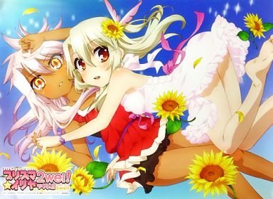 Amazon.co.jp: みんなのくじ Fate/kaleid liner プリズマ☆イリヤ 2wei