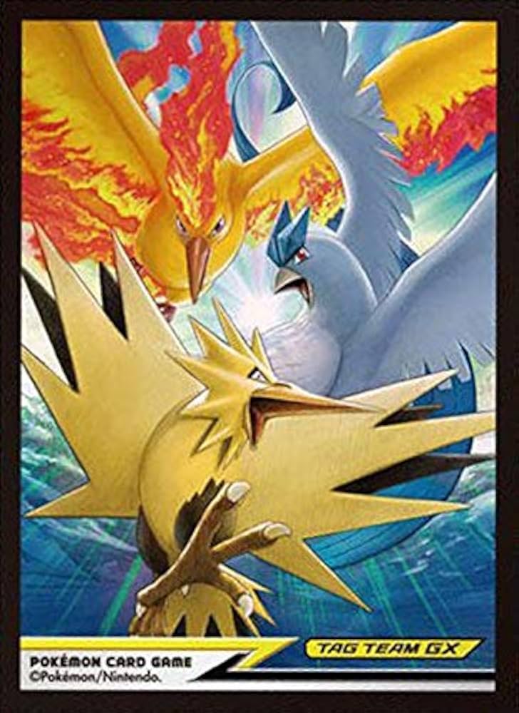 Amazon.co.jp: ポケモンカードゲーム デッキシールド ファイヤー