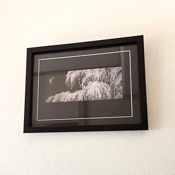 Amazon.co.jp: 千住博「月下の夜桜」複製画 印刷物 木製額装サイズ35.5