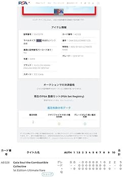 Amazon.co.jp: PSA10 最高評価! 爆炎集合体ガイヤ ソウル 旧アジア