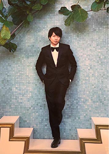 Amazon.co.jp: 嵐 ARASHI 2019・第二弾・【ポスター】・櫻井翔 ・5×20