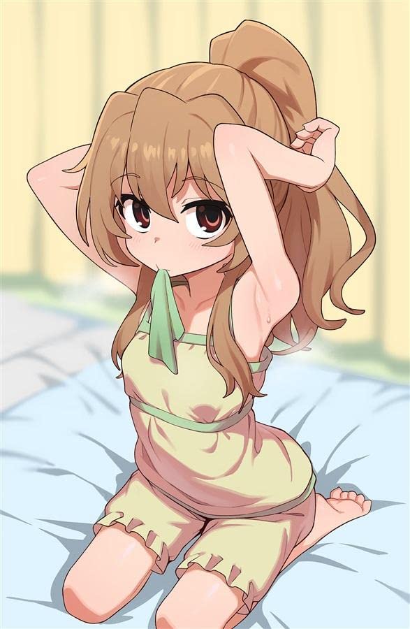 Amazon.co.jp: とらドラ! 逢坂大河 B2タペストリー 着衣版 きしわがし