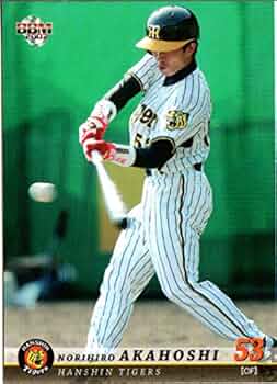 51vDIIeG2OL._AC_UF350,