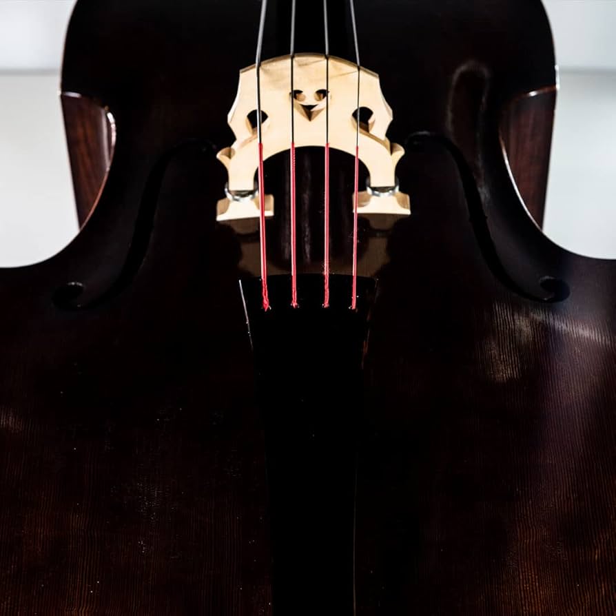 Amazon | SPIROCORE スピロコア コントラバス弦セット 3/4 MEDIUM