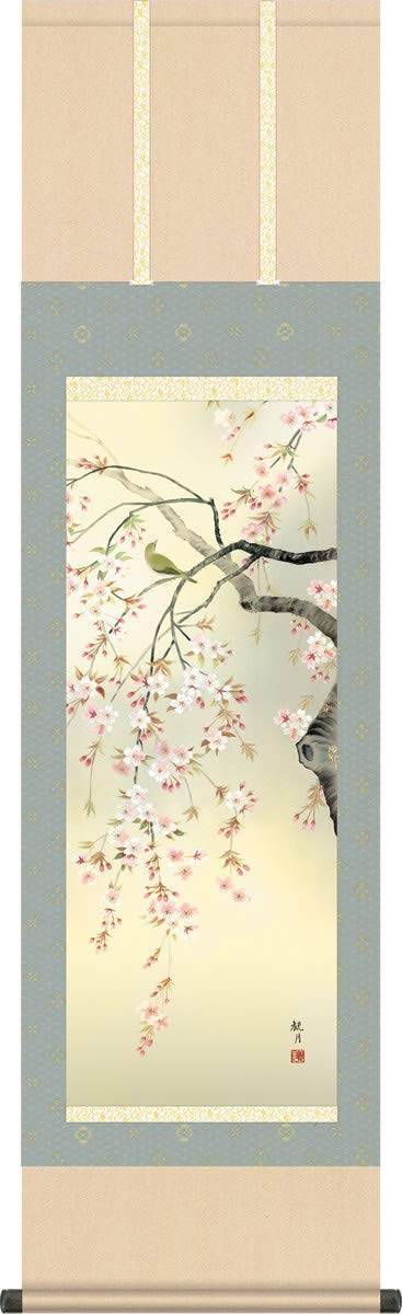 Amazon | 掛け軸 春 桜花・森山観月 尺三 掛軸 桜 床の間 | 絵画生活