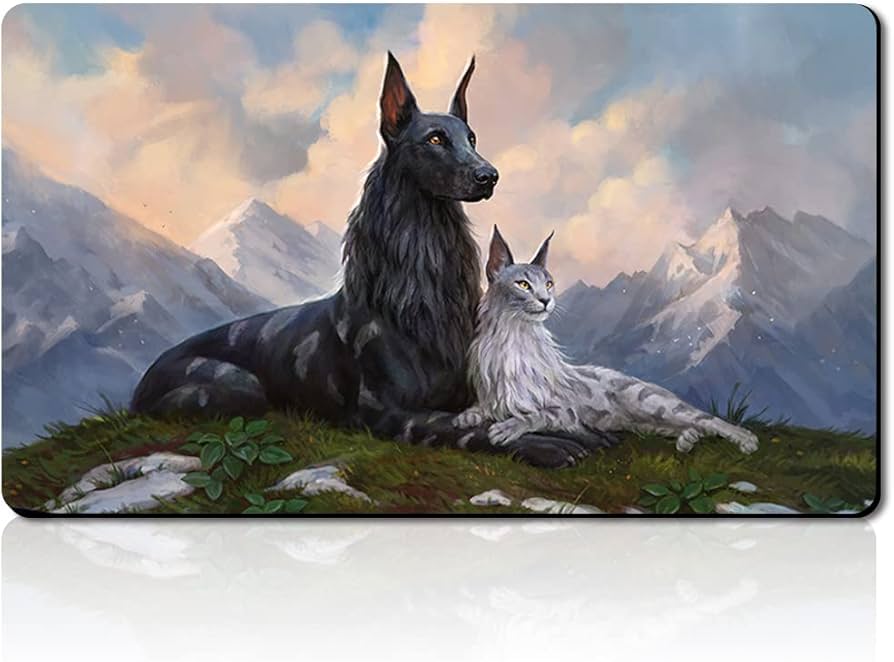 Amazon.co.jp: RIN and SERI, INSEPARABLE - ボードゲームTCGプレイ