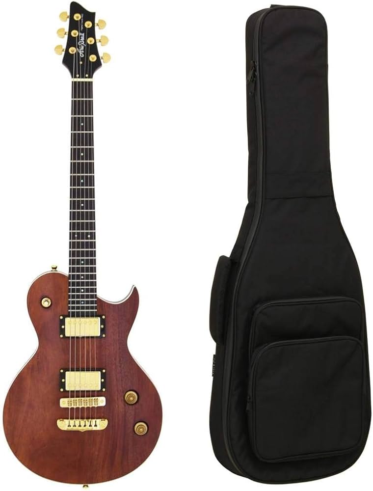 Amazon | 【ギグバッグ付】Aria ProII/アリアプロツー PE-MAHO II/G