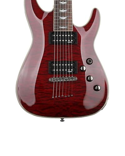 Amazon.com: Schecter Omen Extreme-7 Electric Guitar - Black Cherry