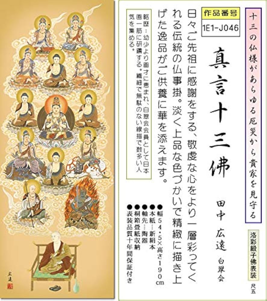 Amazon | 仏事用掛軸-真言十三佛/田中広遠(尺五)1E1-J046 床の間