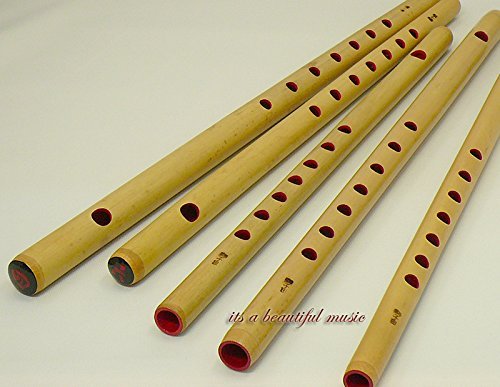 Amazon | 【お祭り・お囃子用 篠笛】入門用 篠笛 無地【7穴5本調子