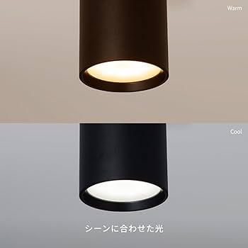 Amazon | アートワークスタジオ グリッドスウィンガブルダクトダウン