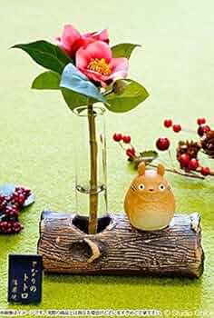 51wzT7AwBoL._AC_UF350,