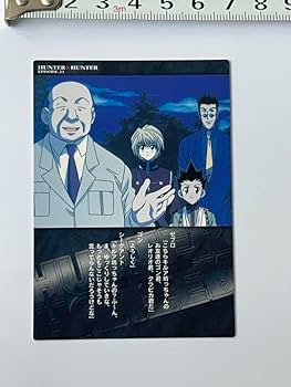 Amazon.co.jp: 希少品 HUNTER×HUNTER カードダスマスターズ ゼブロ