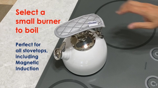 Amazon.com: Chantal Classic Loop Enamel on Steel Whistling Tea