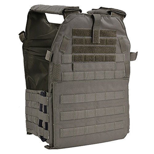 サバゲーアイテム紹介】BIGFOOT GTPC 2．0 プレート