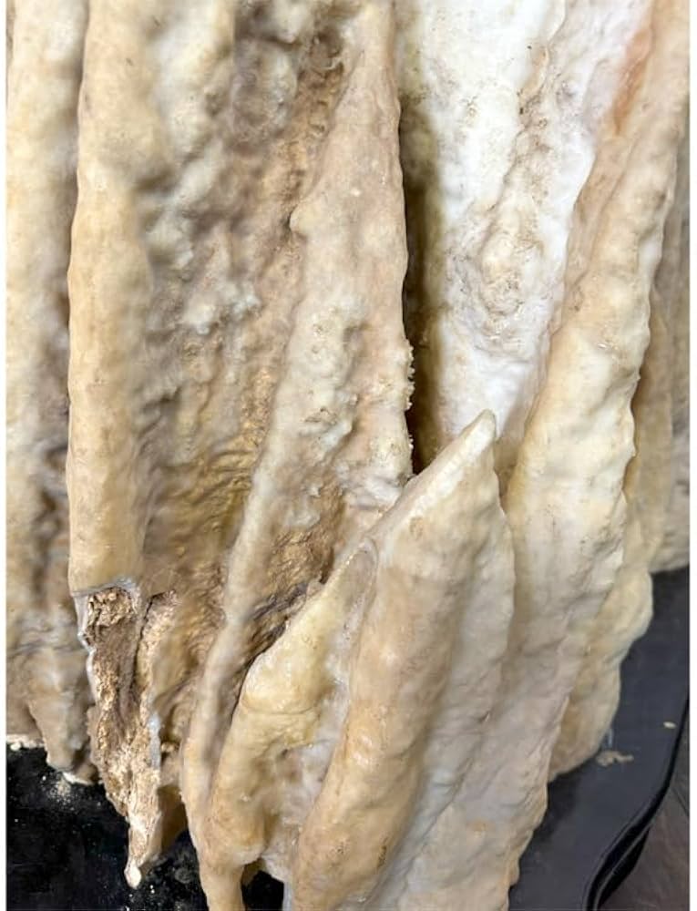 Amazon | 大自然が作り出した唯一無二の神秘な石 鍾乳石 【7】 高さ約