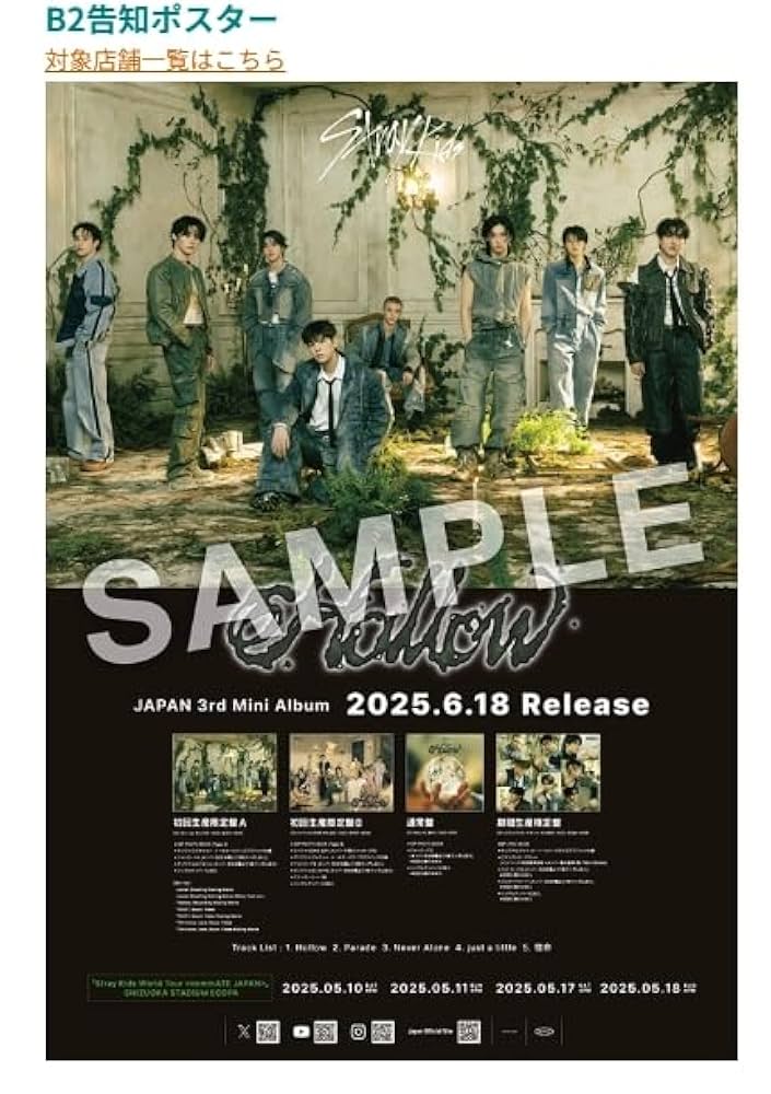 Amazon.co.jp: 【限定特典B2告知ポスター付き】 Stray Kids Hollow