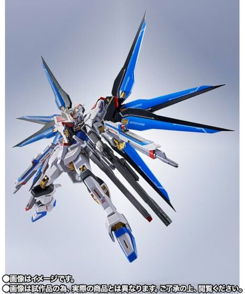 Amazon.co.jp: METAL ROBOT魂 ＜SIDE MS＞ ストライクフリーダムガ