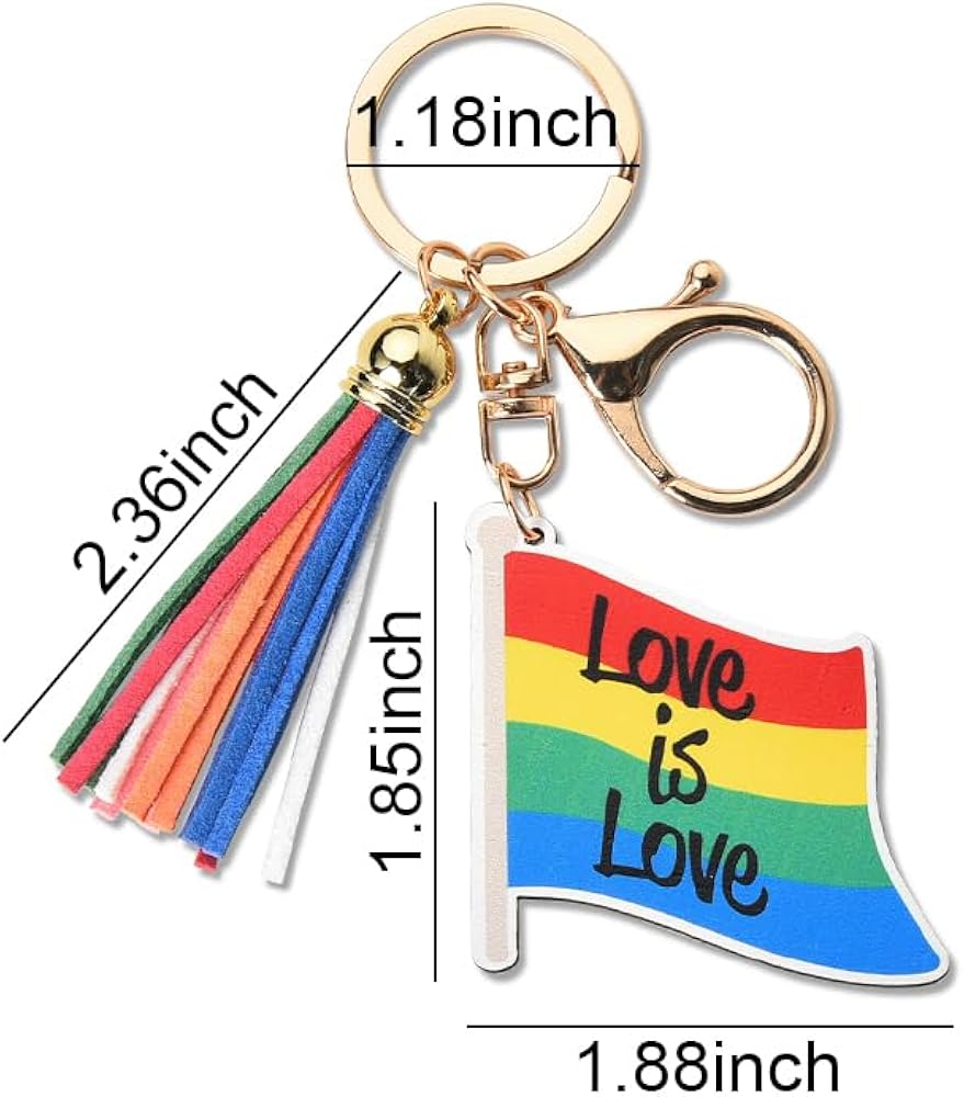 Amazon.co.jp: LGBTQ用レインボーフラッグキーホルダー レズビアンゲイ