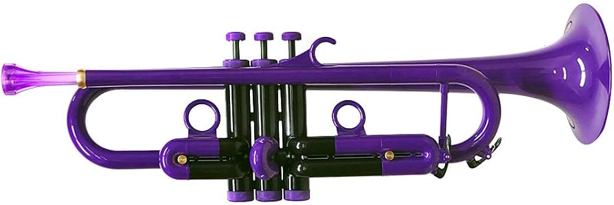 Amazon | PLAYTECH プレイテック ABS樹脂製 PTTR100PR プラスチック