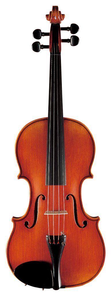Amazon.com: Suzuki Violin No. 310 4/4 : Musical Instruments