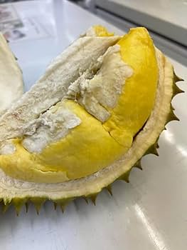 Amazon | 冷凍ドリアン モントン種 濃厚味わい 種が小さい ベトナム産